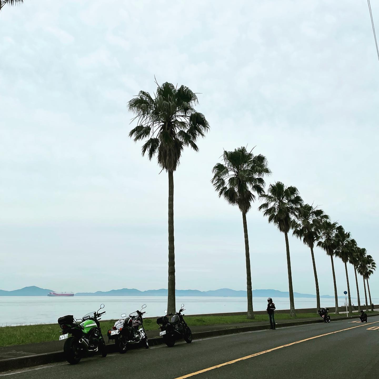 梅雨の中休みの日曜日