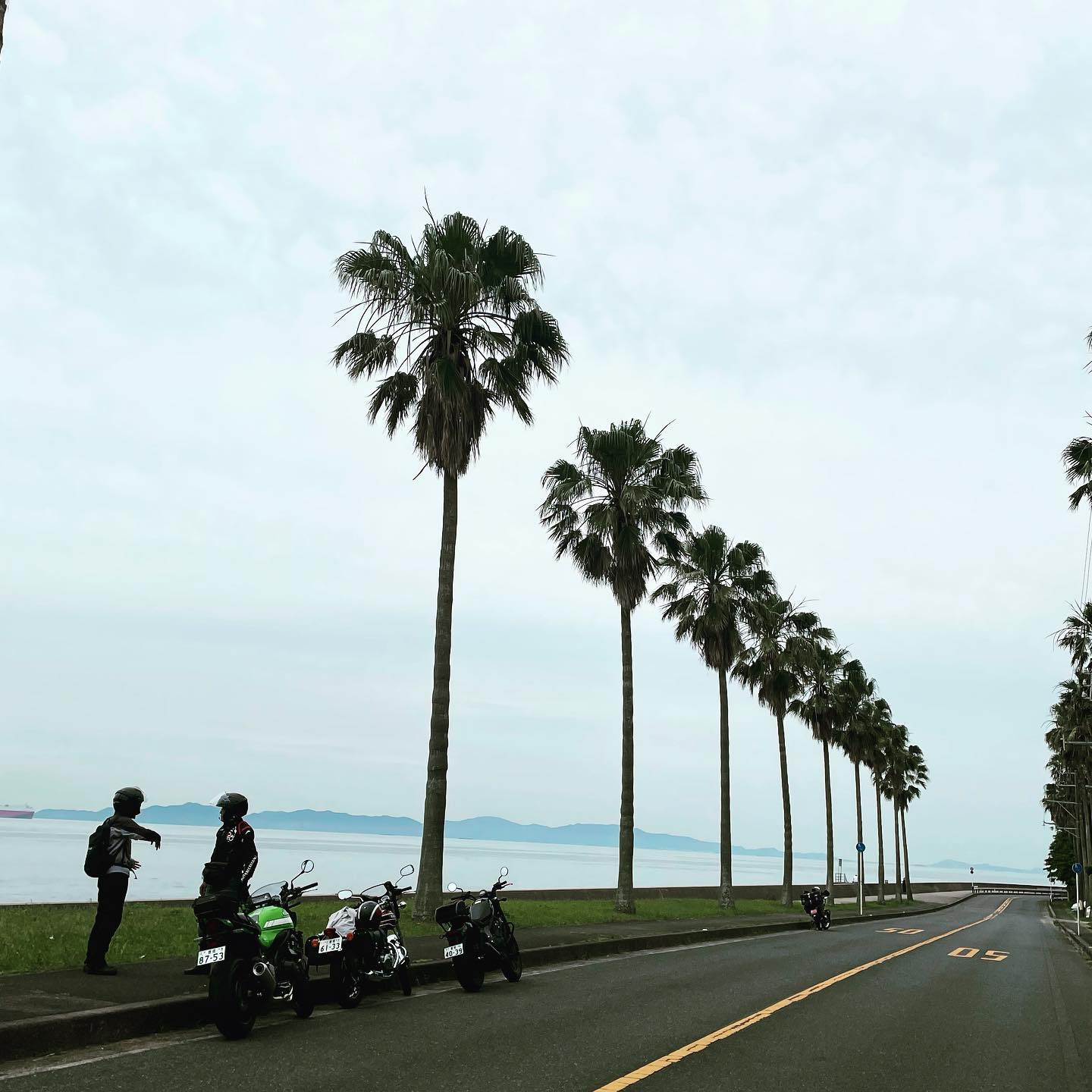 梅雨の中休みの日曜日