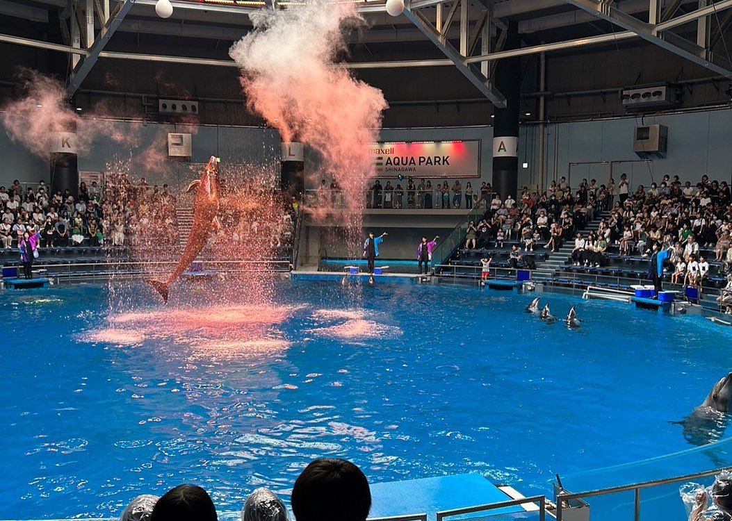 浅草から日の出桟橋まで水上バスで隅田川クルージング🚢