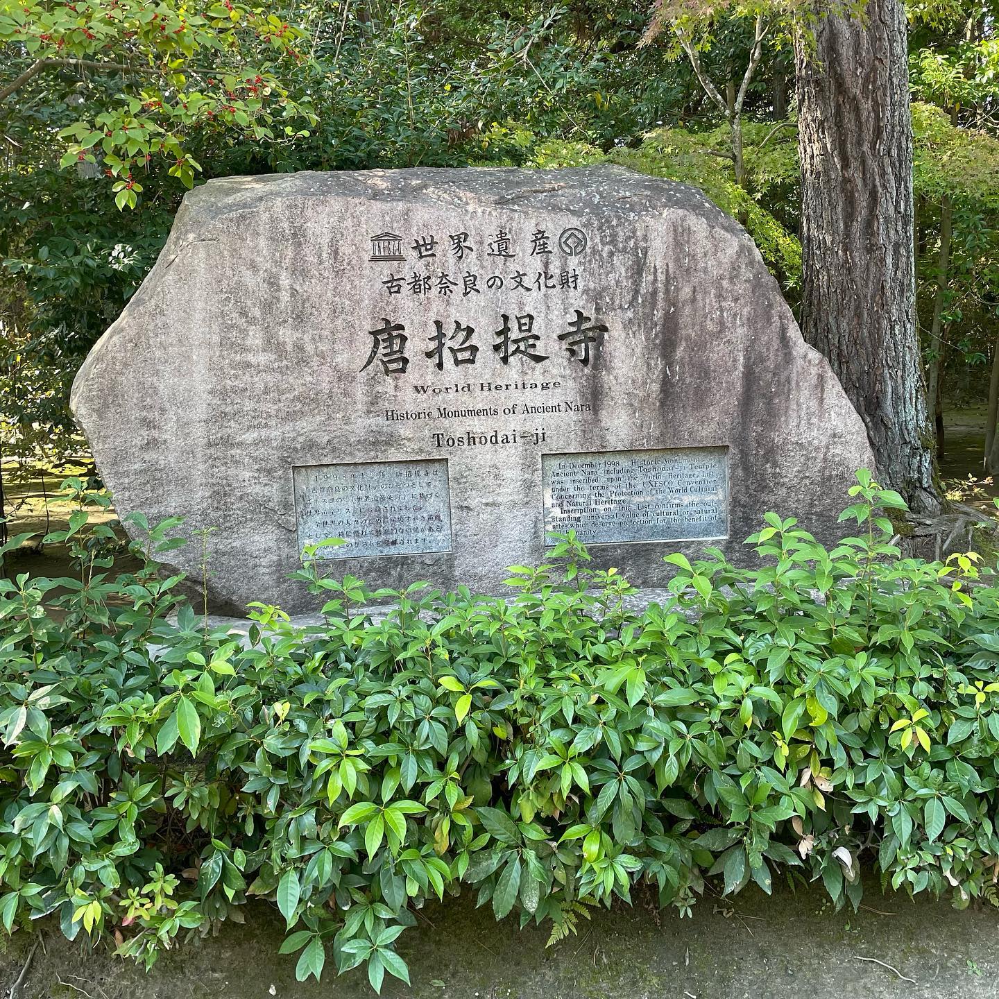 秋晴れの朝、思い立って西の京へ