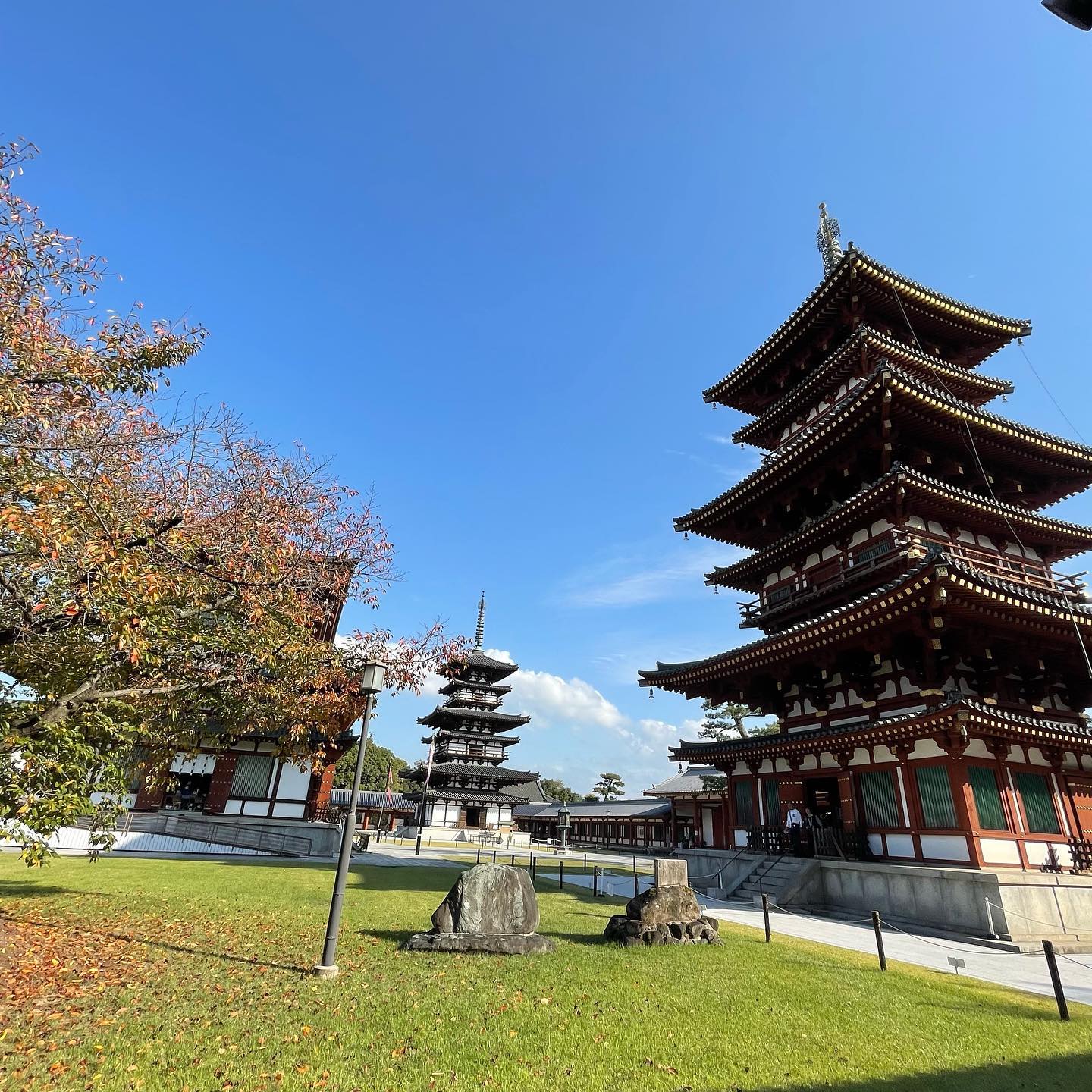 秋晴れの朝、思い立って西の京へ